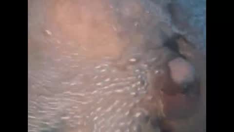 whiteoak19522 online show from April 2026 09:51:02 AM