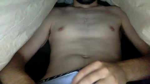 Snapshot of wholesomebull00 chatting on October 2025 03:21:02 AM wholesomebull00 online show from October 2025 03:21:02 AM