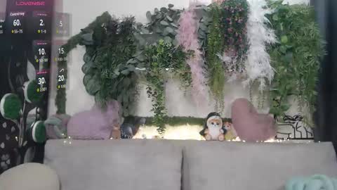 wiagra online show from December 2025 09:07:01 AM