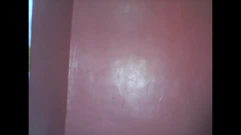 wild_sunflower11 online show from December 2024 03:43:01 AM