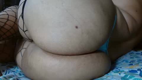 Wild online show from October 2025 12:31:02 AM