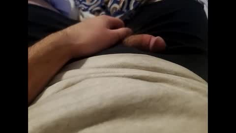 Wild-at-heart online show from January 2025 08:33:01 AM