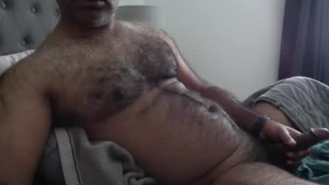 wildhungry online show from November 2025 05:52:01 PM