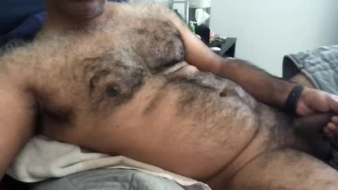 wildhungry online show from June 2026 04:52:02 PM