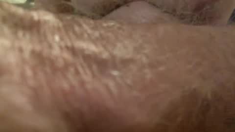 wildinwest online show from October 2025 07:06:02 AM