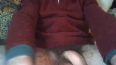 wilditalian online show from January 2026 12:44:02 PM