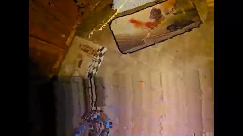 wildman2900 online show from December 2024 03:24:02 PM