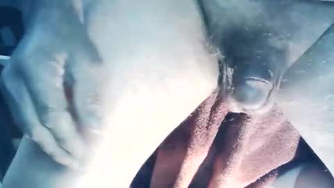 wildman6 online show from March 2026 06:55:01 PM