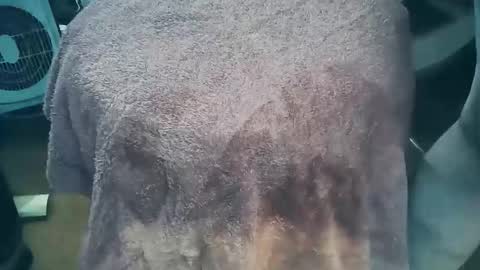 wildman6 online show from March 2026 07:19:01 PM