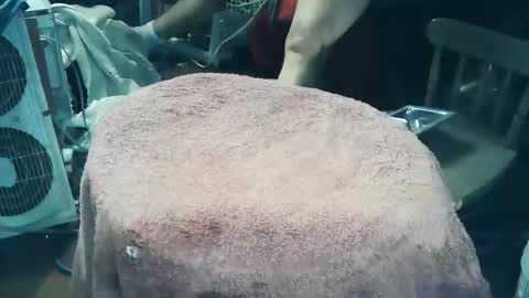 wildman6 online show from March 2026 07:46:02 PM