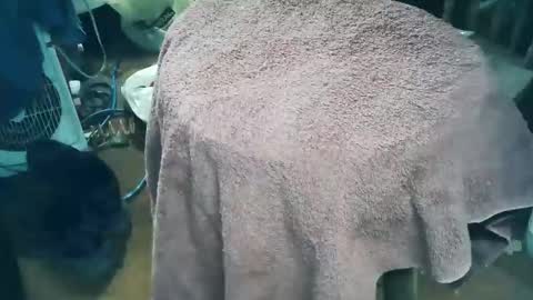 wildman6 online show from March 2026 09:58:01 PM