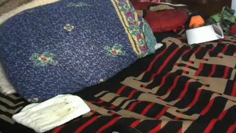 Willamyth online show from February 2025 09:58:01 AM