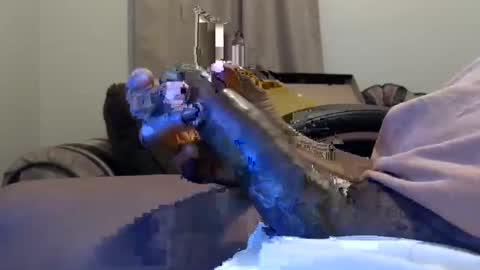 Snapshot of willied1985 chatting on February 2025 09:20:02 AM willy d bbc uncut bigdick edging online show from February 2025 09:20:02 AM