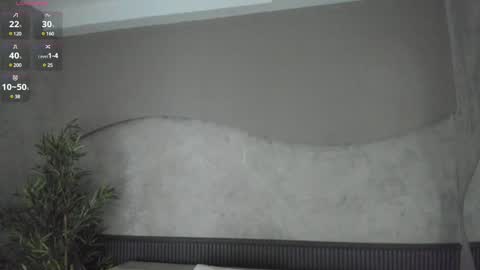 Ms Willow online show from January 2025 11:17:01 AM