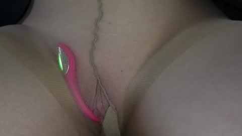 Willow online show from February 2026 06:01:02 PM