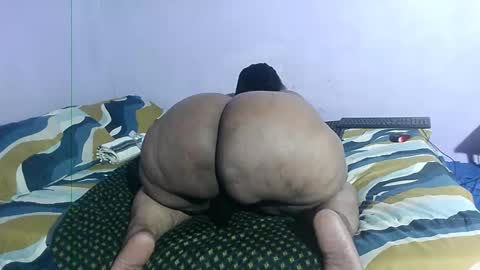 wilmaassylum online show from February 2025 08:21:02 AM