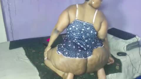 wilmaassylum online show from September 2025 06:04:02 AM