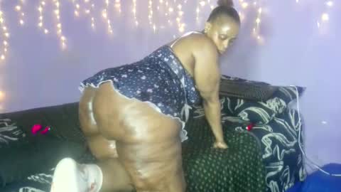 wilmaassylum online show from October 2025 07:48:01 AM