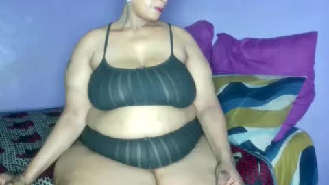 wilmaassylum online show from February 2026 08:02:01 AM