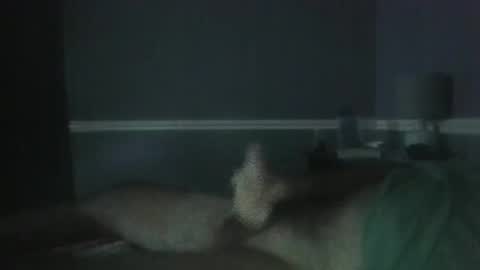 Snapshot of wimpbrad1 chatting on October 2025 05:15:02 PM Jerkoff Brad online show from October 2025 05:15:02 PM