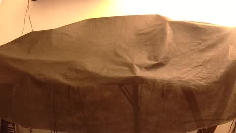 Mater online show from January 2025 04:02:01 PM