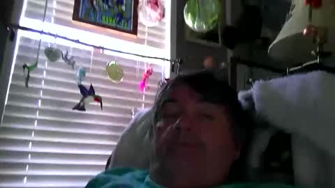 Snapshot of wldlife chatting on May 2026 05:10:01 PM wldlife online show from May 2026 05:10:01 PM