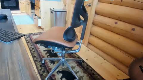 Gobbleon online show from September 2025 06:43:02 PM