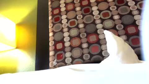 Ryan online show from November 2025 05:24:01 PM