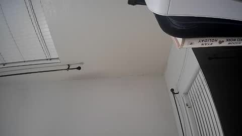 WoodCouldShould86 online show from January 2026 08:41:01 AM