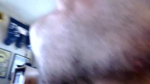 Snapshot of woodiesays chatting on February 2026 04:36:02 PM WoodieSays online show from February 2026 04:36:02 PM