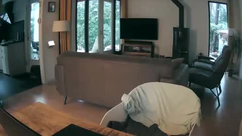 woodwurm and Snoeske online show from February 2026 07:26:01 AM