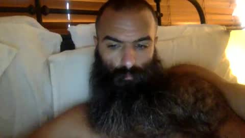 woof_wolf37 online show from February 2026 04:03:02 PM