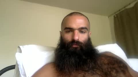 woof_wolf37 online show from April 2026 05:12:02 PM