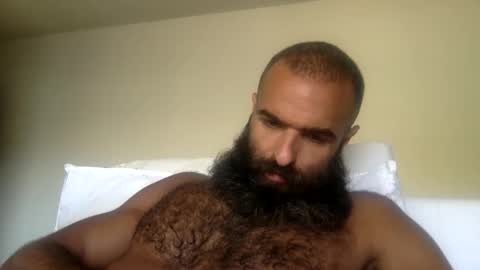 woof_wolf37 online show from May 2026 05:42:02 PM