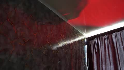 Woondeer online show from February 2026 06:06:01 PM