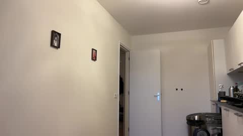 Snapshot of wsvogel chatting on January 2025 01:56:02 PM joejoe online show from January 2025 01:56:02 PM