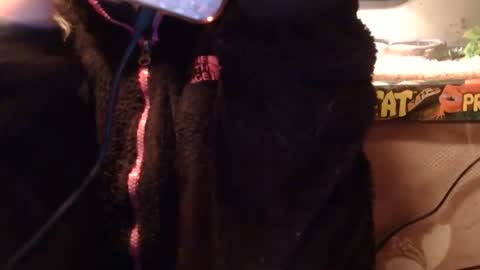 x2kayx2 online show from January 2026 11:31:01 PM