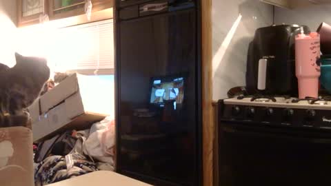 Snapshot of x2kayx2 chatting on February 2026 01:05:02 PM x2kayx2 online show from February 2026 01:05:02 PM