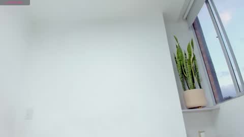 Xavier online show from December 2025 10:49:02 PM