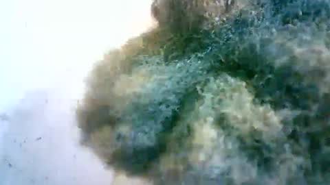 xenna610827 online show from February 2025 06:50:02 AM