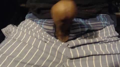 xentric777 online show from October 2025 08:04:02 AM