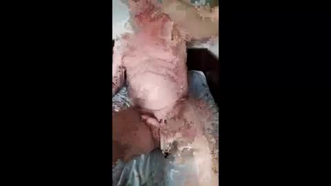 Slava online show from March 2026 11:49:02 PM