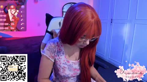 Snapshot of ximerosales chatting on February 2025 12:00:01 PM Ximena online show from February 2025 12:00:01 PM