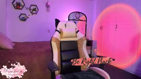 Snapshot of ximerosales chatting on October 2025 06:05:02 PM Ximena online show from October 2025 06:05:02 PM