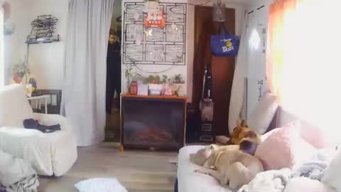 xmef2 online show from February 2026 04:18:01 PM