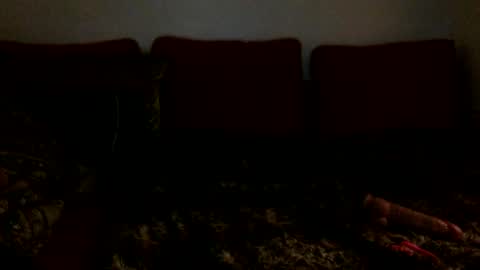 3 online show from February 2025 06:43:01 AM