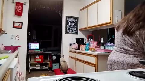 Strawberry Jane online show from February 2026 04:23:02 PM