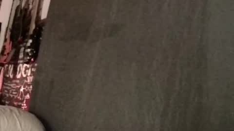 Snapshot of xxwhitefoxx chatting on March 2025 08:41:02 AM David Fox online show from March 2025 08:41:02 AM