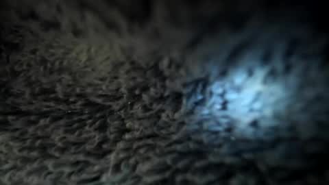 Snapshot of xxxdanidoomsdayxxx chatting on January 2025 05:51:02 PM Danielle online show from January 2025 05:51:02 PM