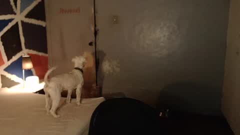 Melissa online show from February 2025 11:49:02 AM